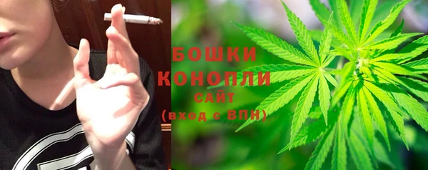 амф Горняк