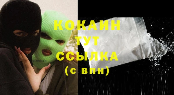 амф Горняк