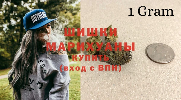 амф Горняк