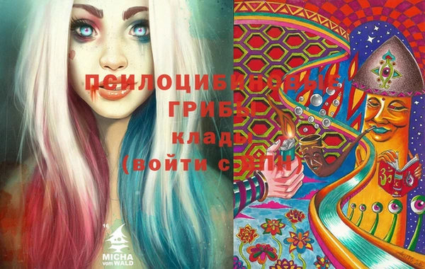 амф Горняк