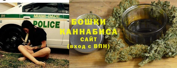амф Горняк