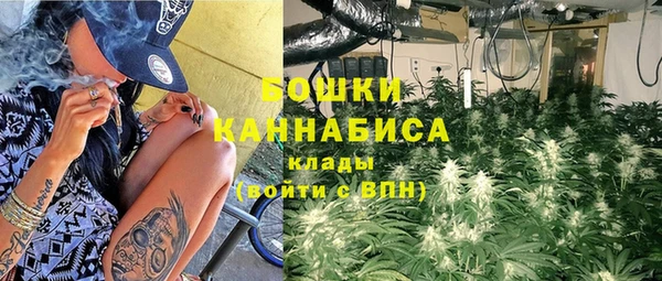 трава Горнозаводск