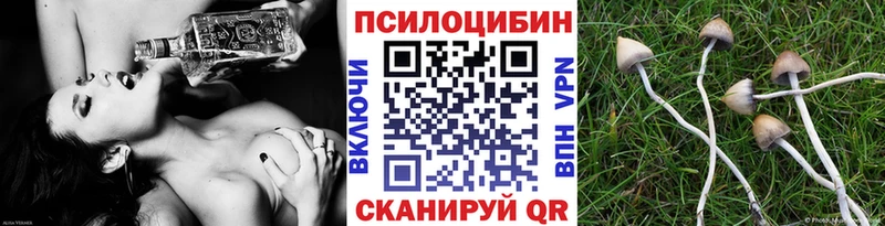 Галлюциногенные грибы мицелий  Купить где  Ефремов 